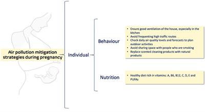 Cellular mechanisms linking to outdoor and indoor air pollution damage during pregnancy